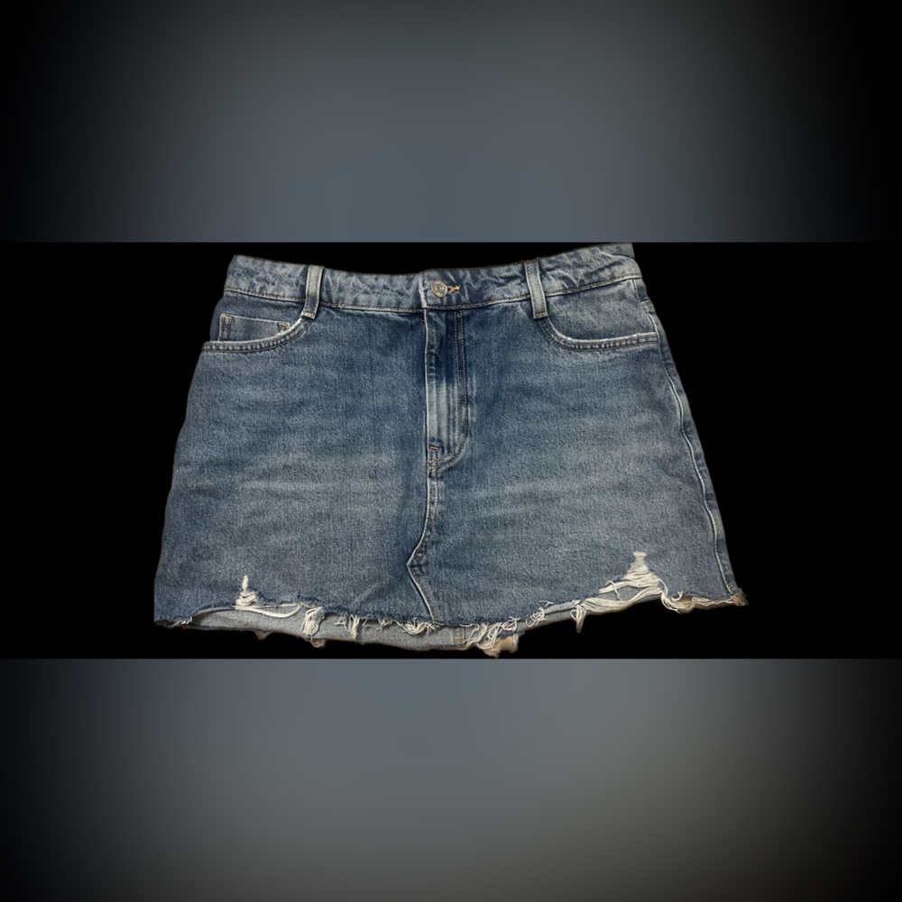 Zara Skirt
